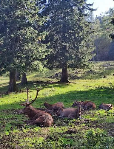 Διαμέρισμα P&t *