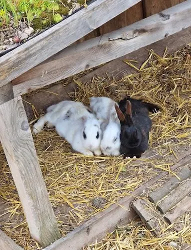 Διαμέρισμα P&t *